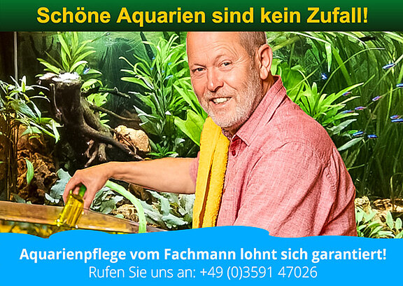 aquarienpflege.jpg  
