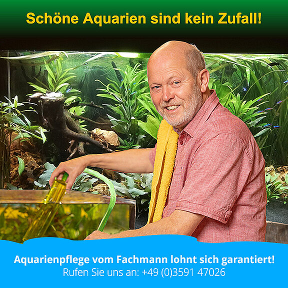 aquarienpflege082024.jpg  